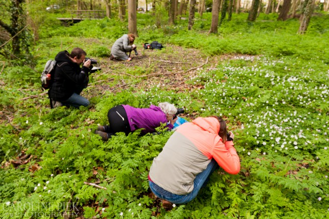Fotografieworkshop voorjaarsbloeiers voor Naturalis