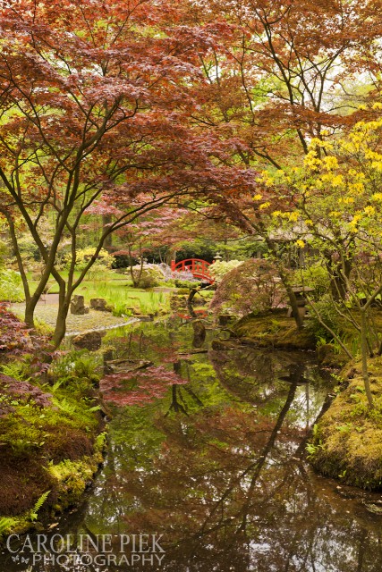 Japanse tuin in Clingendael