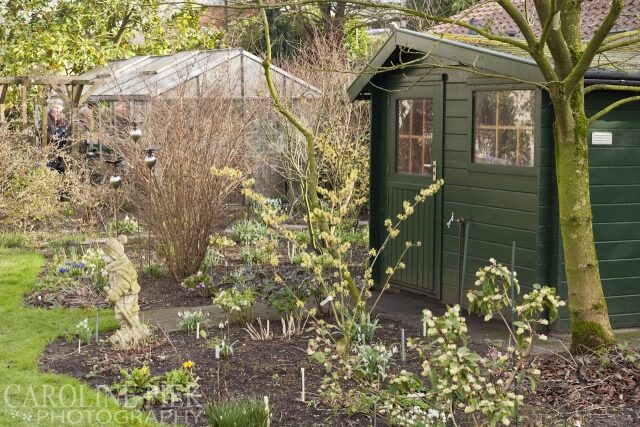 Annie Fallinger voorjaarsbloeiers in tuin