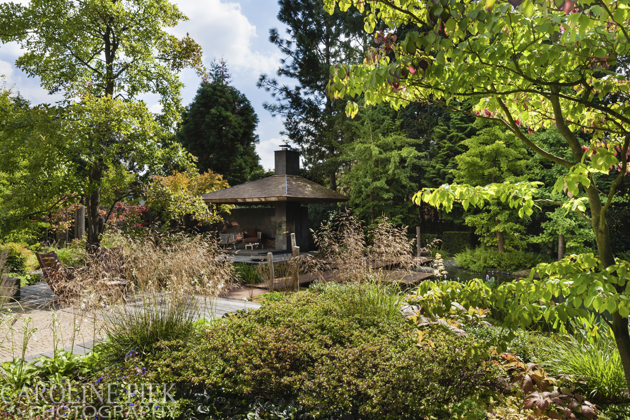 Japanse watertuin van Noël van Mierlo