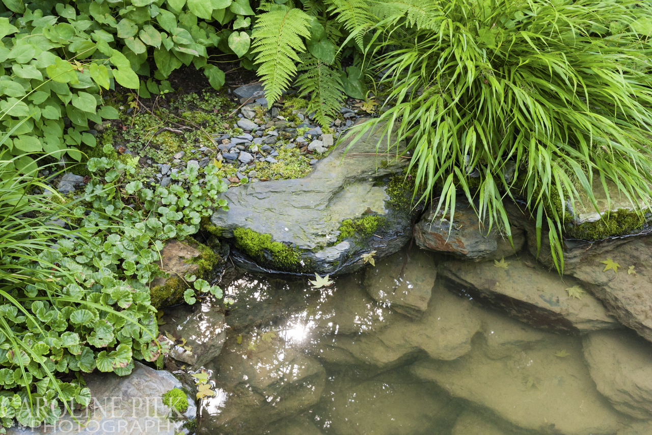 Japanse watertuin van Noël van Mierlo