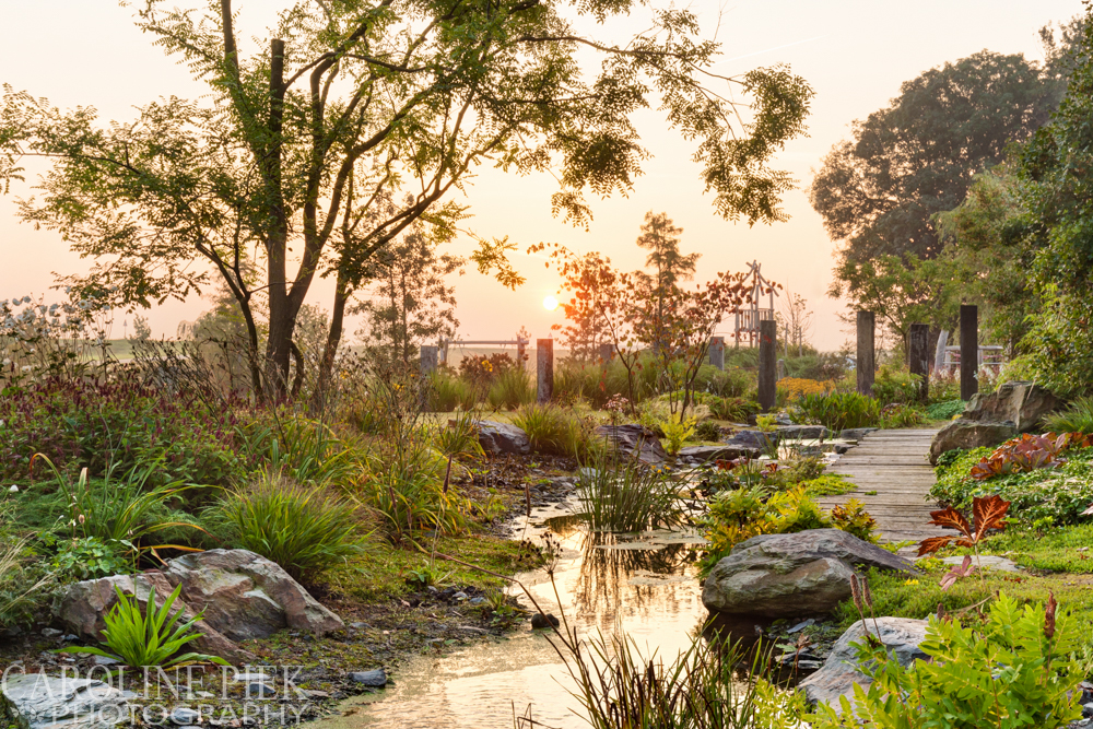 Stream Garden Noël van Mierlo