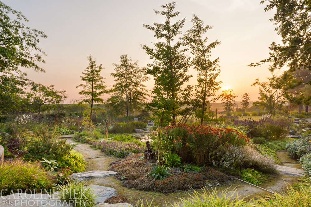 Stream Garden Noël van Mierlo