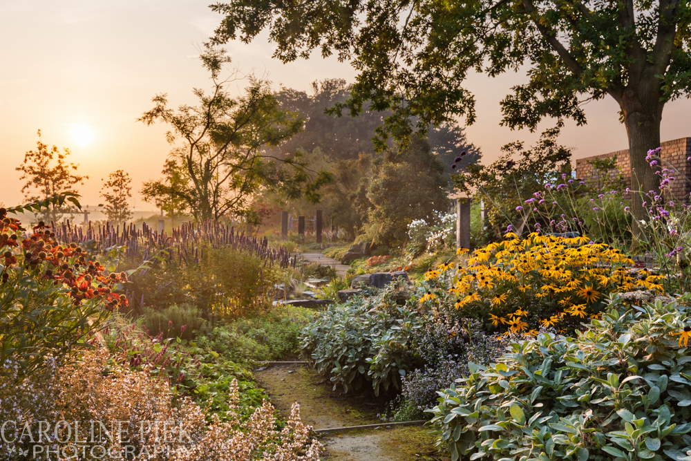 Stream Garden Noël van Mierlo