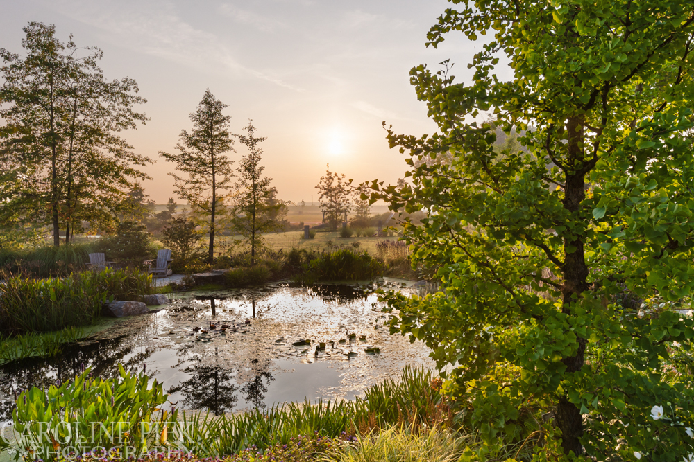 Stream Garden Noël van Mierlo