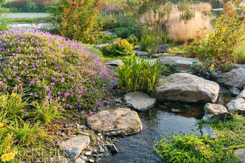 Stream Garden Noël van Mierlo