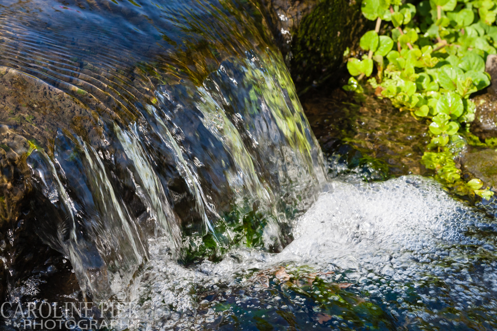 Stream Garden Noël van Mierlo