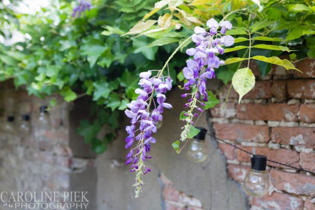 Tuinreportage Maarssen - Tuinfotografie voor Groenregie