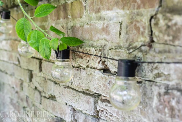 Tuinreportage Maarssen - Tuinfotografie voor Groenregie