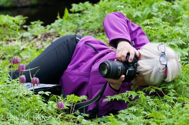 Fotografieworkshop voorjaarsbloeiers voor Naturalis