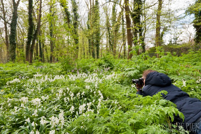 Fotografieworkshop voorjaarsbloeiers voor Naturalis