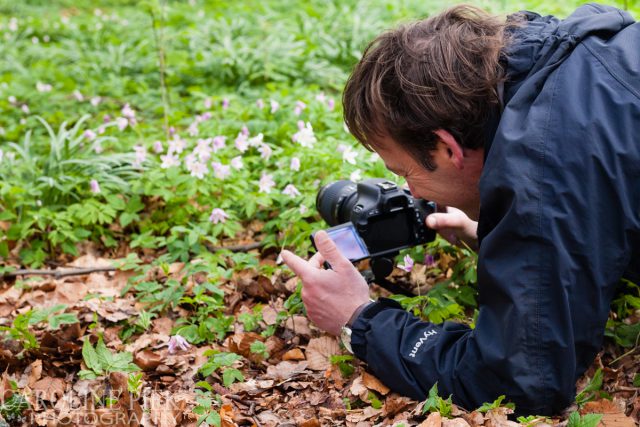 Workshop bosanemonen fotograferen