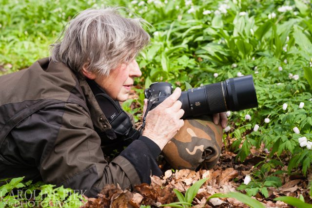 Workshop bosanemonen fotograferen