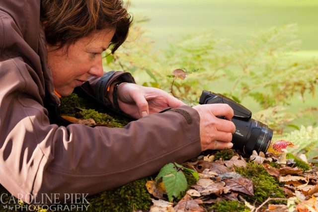 fotografieworkshop paddenstoelen fotograferen