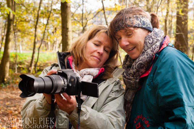 fotografieworkshop paddenstoelen fotograferen