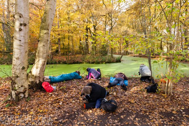 fotografieworkshop paddenstoelen fotograferen