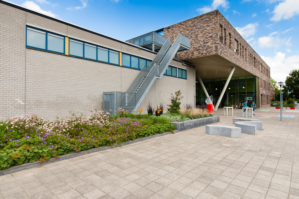 Tuinreportage van groenproject op school voor Aardoom Hoveniers