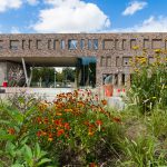 Tuinreportage van groenproject op school voor Aardoom Hoveniers