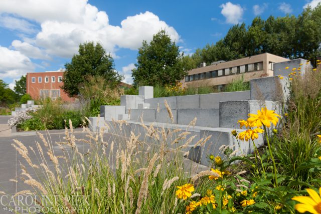 Tuinreportage in Ridderkerk voor Aardoom Hoveniers door Caroline Piek Photography