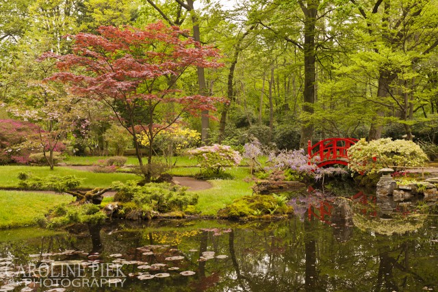 Japanse tuin in Clingendael