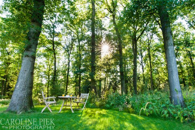 Tuinreportage in Lochem voor Groenregie door Caroline Piek Photography