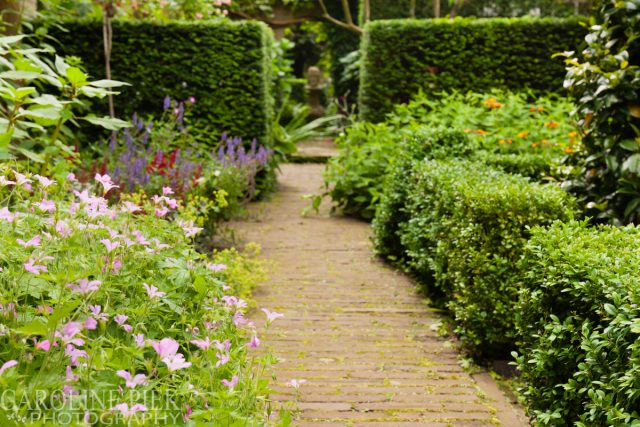 Tuinreportage in Gouda voor Hortivorm door Caroline Piek Photography