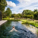 Tuinreportage Capelle aan den IJssel