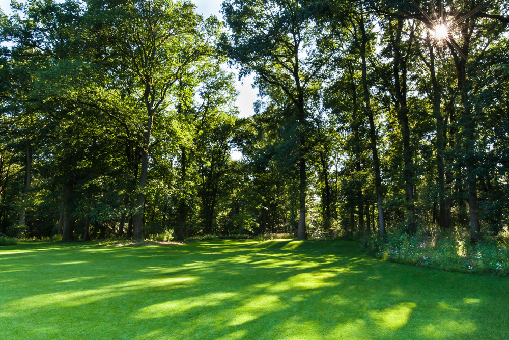 Tuinfotografie in Lochem voor Groenregie door Caroline Piek Photography