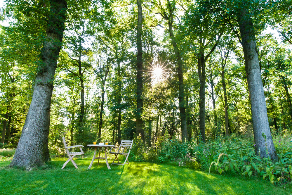 Tuinfotografie in Lochem voor Groenregie door Caroline Piek Photography