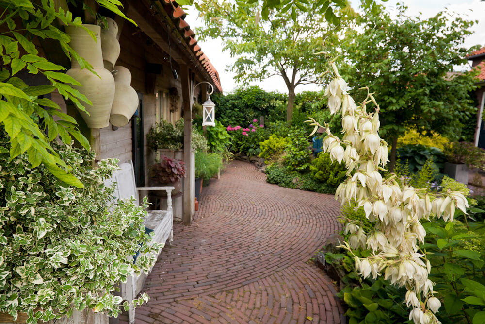 Fotoreportage van tuin in Vleuten voor Groencentrum van Kleinwee