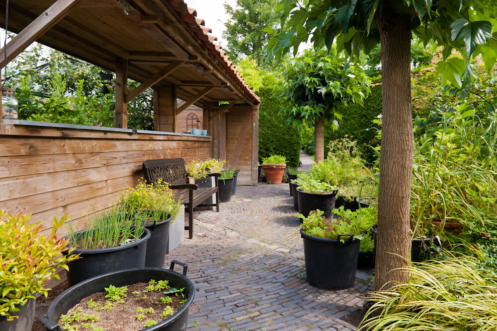 Fotoreportage van tuin in Vleuten voor Groencentrum van Kleinwee