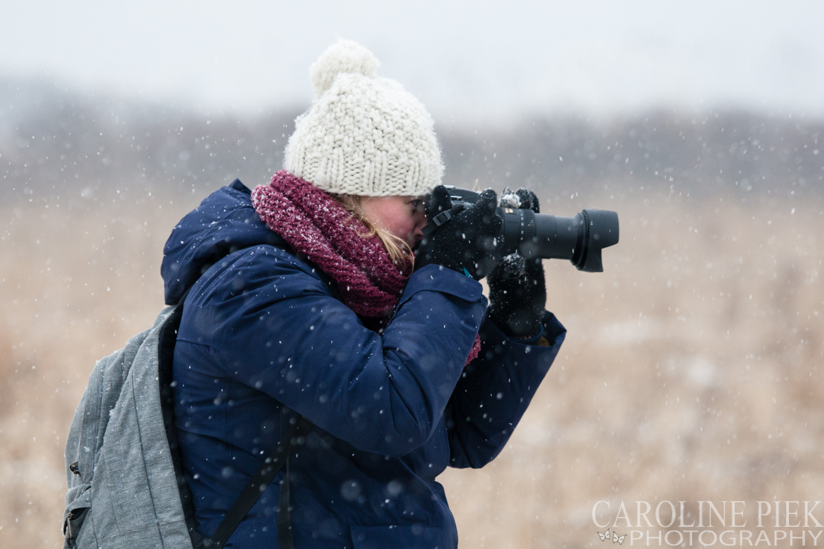 Workshop dierenfotografie