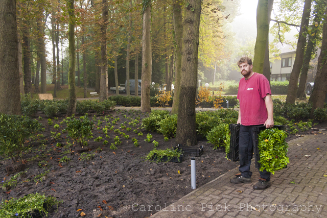 kloostertuin piekzweverink hoveniers tuinontwerp tuinontwerper fotoreportage tuinreportage