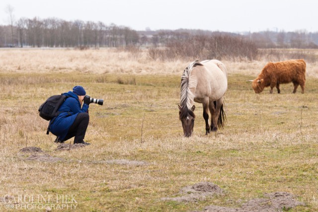 fotografieworkshop lentevreugd