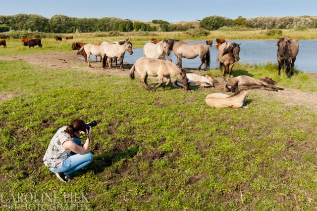 fotografieworkshop lentevreugd