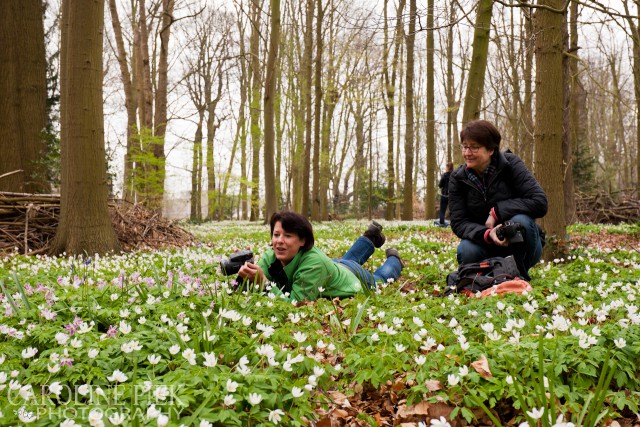 fotoworkshop bosanemonen