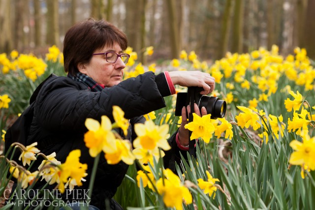 fotoworkshop bosanemonen