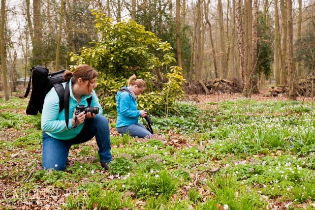 fotoworkshop bosanemonen